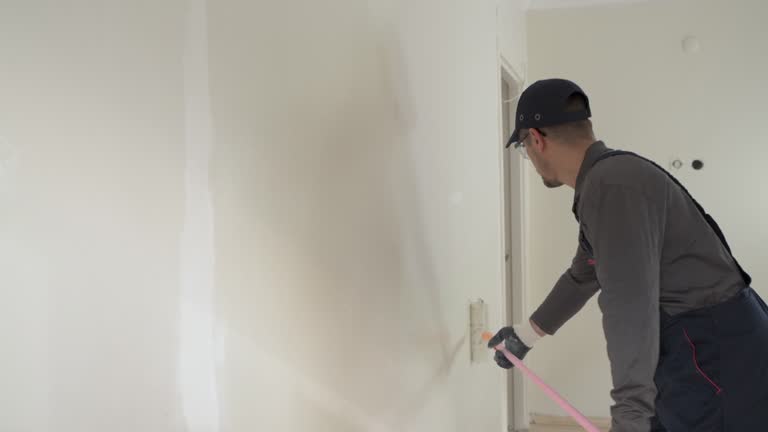 Best Drywall Crack Repair  in Plainfield, IL